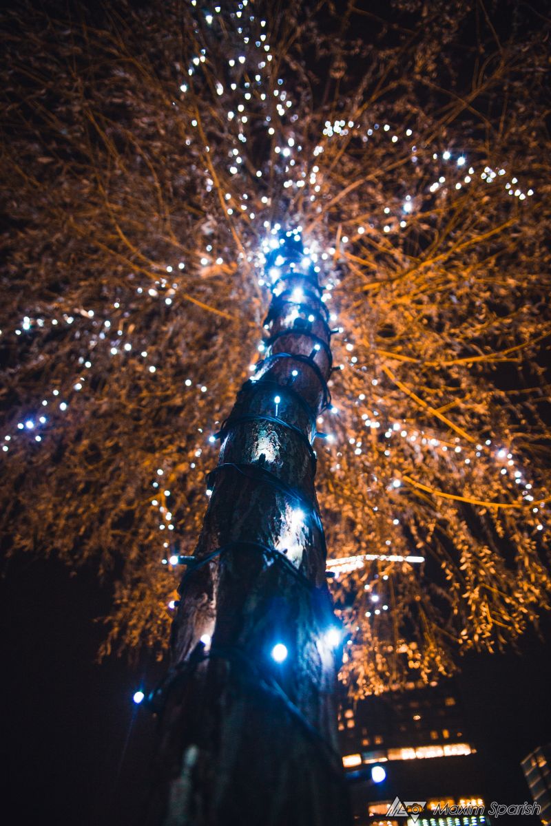 ПРОГУЛКА ПО АЛМАТЫ
