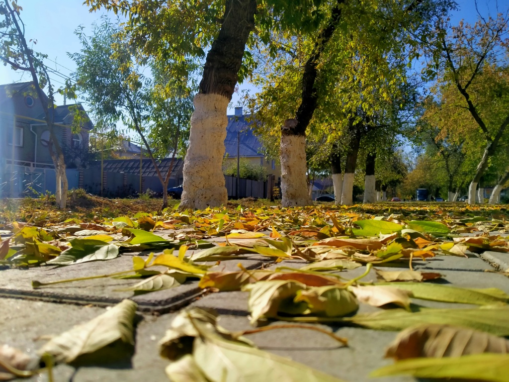 Kostanay — a secluded northern city