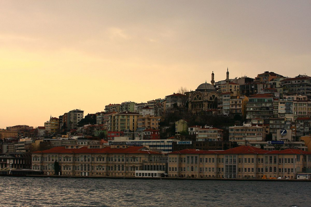 Elis Yilmaz1.jpg