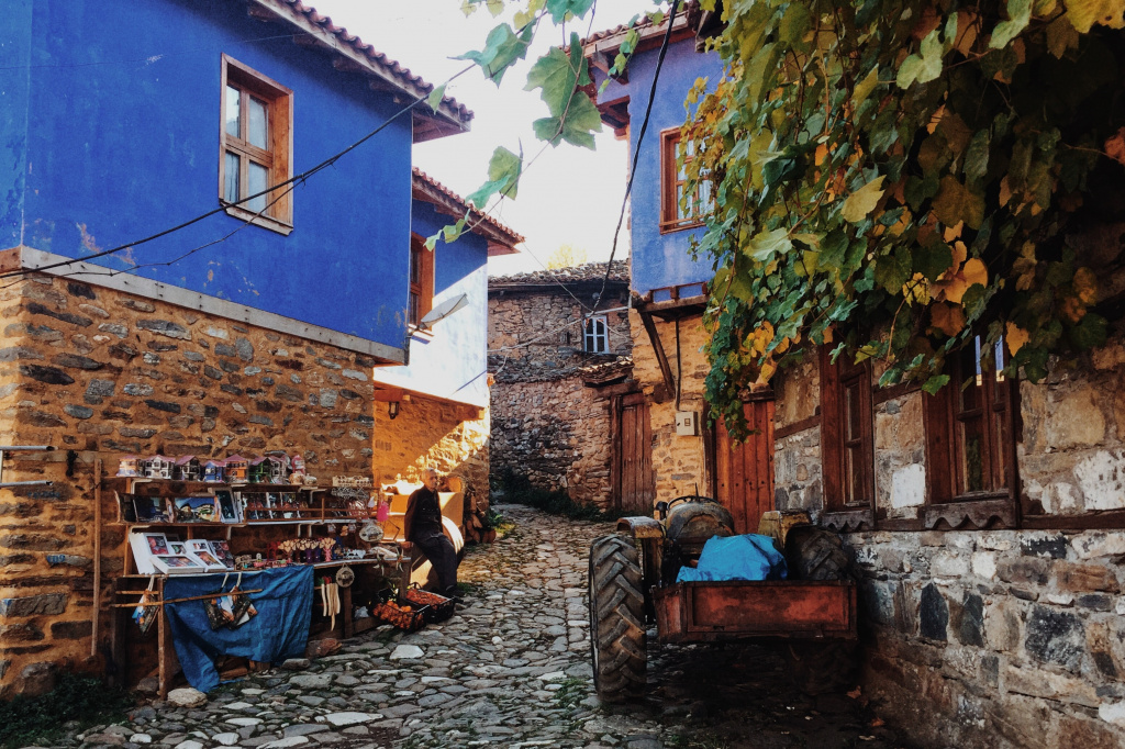 Bursa