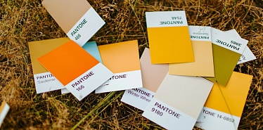 What colors are in fashion in 2024