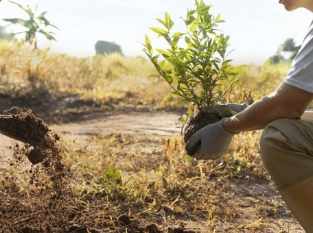 major-companies-in-uzbekistan-involved-in-key-eco-projects