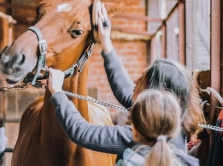 where-to-go-horseback-riding-in-uzbekistan-10-best-equestrian-clubs