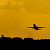 preview-image