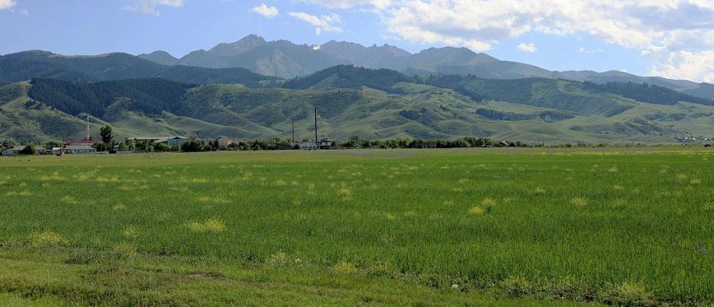 8-travel-companies-that-will-organize-the-best-trip-around-kazakhstan