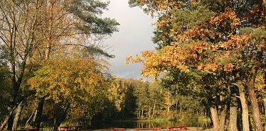 City parks in Bishkek: where to walk with family and friends